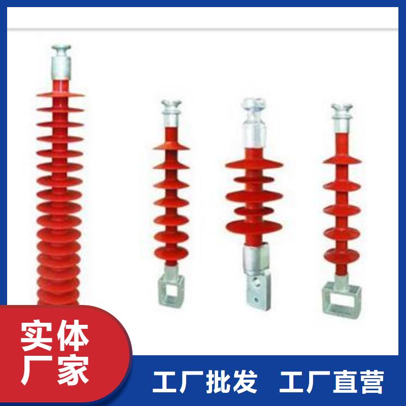 ZSW2-10/1000绝缘子樊高电气