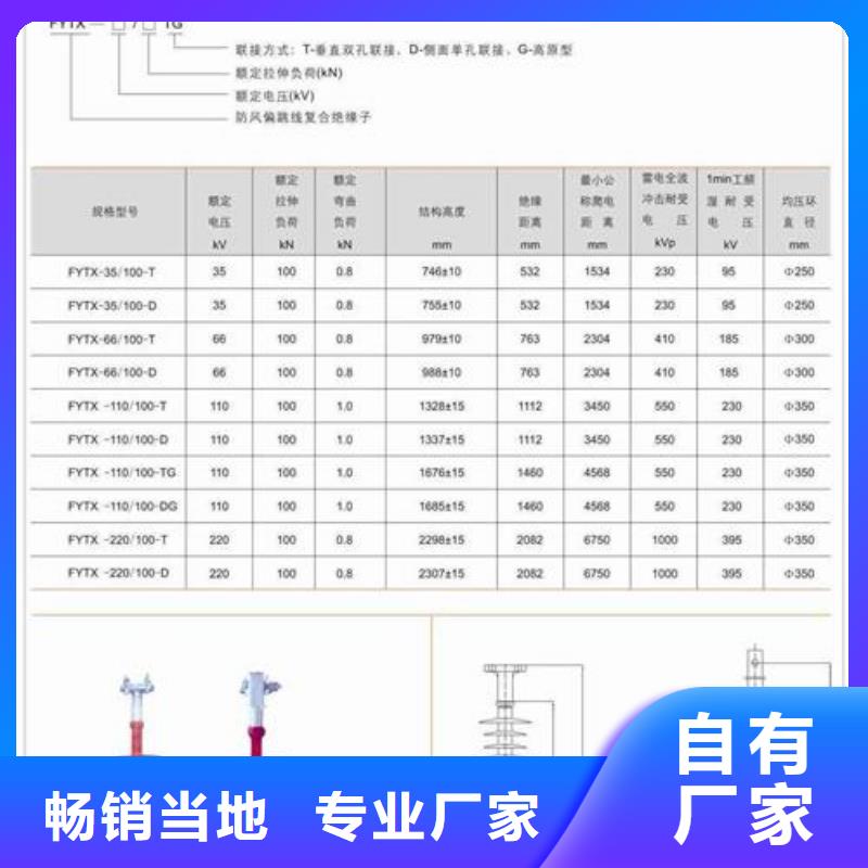 绝缘子真空断路器发货迅速-服务区域包括殷都|滑县|开封|三门峡|新乡|许昌|周口|平顶山等-产品视频