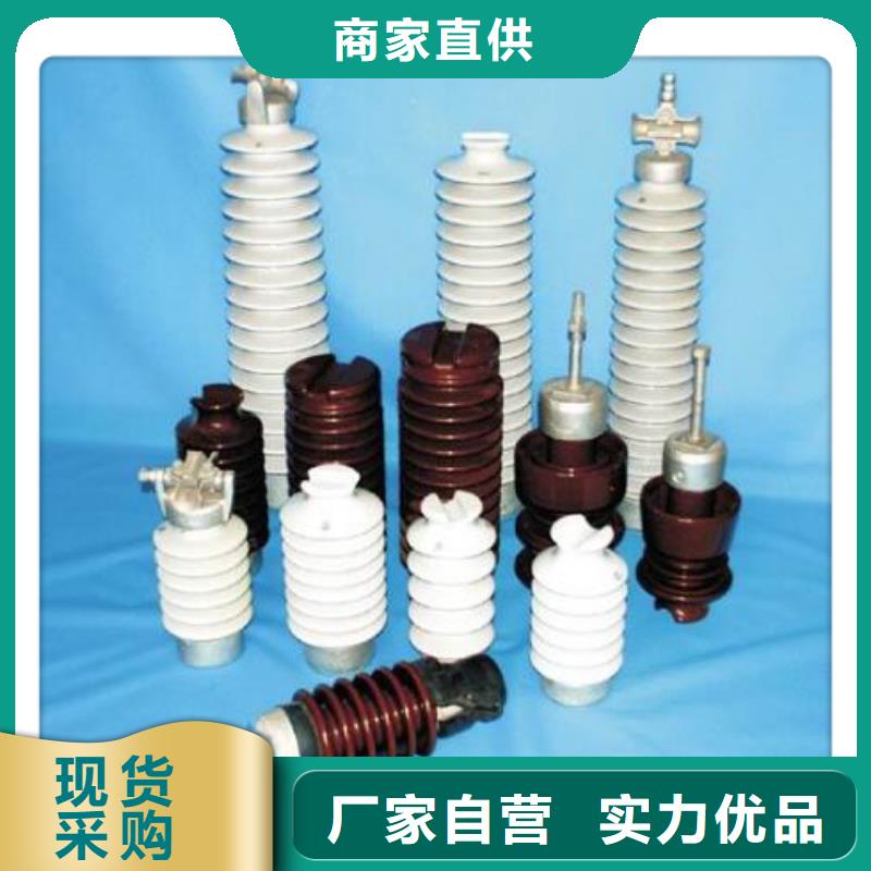 【 绝缘子氧化锌避雷器让利客户】 樊高电气销售部(雅安市分公司)