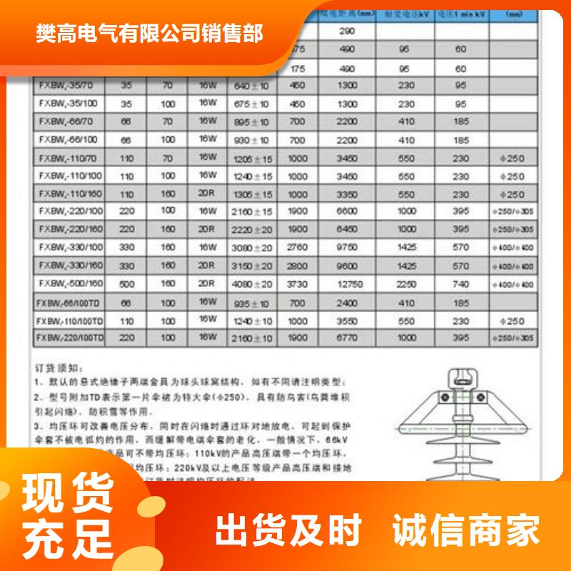 ZSW-24/8支柱绝缘子