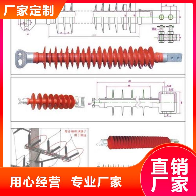 【 绝缘子氧化锌避雷器让利客户】 樊高电气销售部(雅安市分公司)