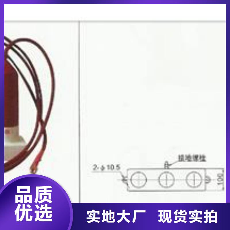 TBP-B-12.7F/150组合式避雷器