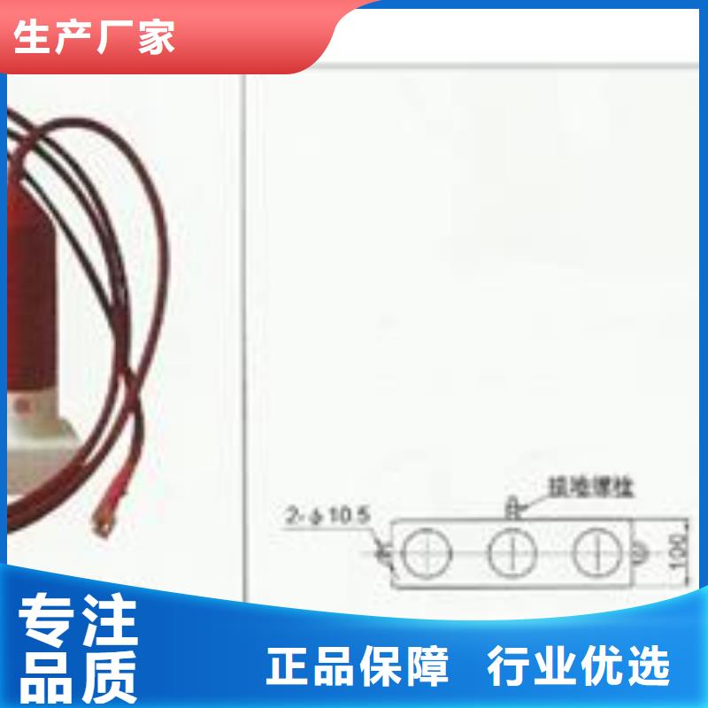 过电压保护器【固定金具】严选好货