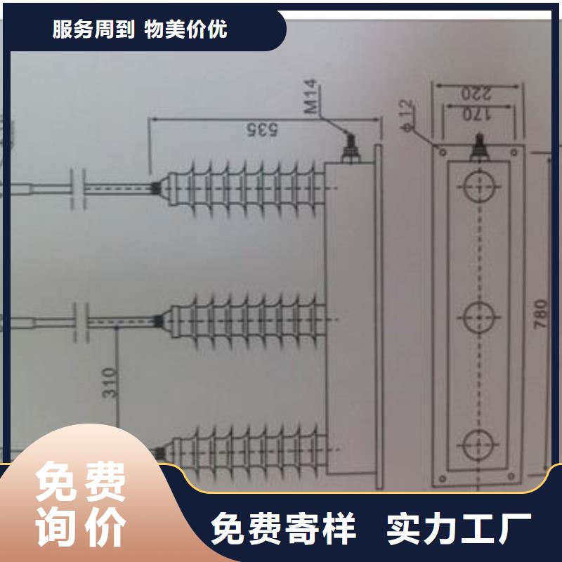 TBP-C-7.6F/150串联间隙过电压保护器