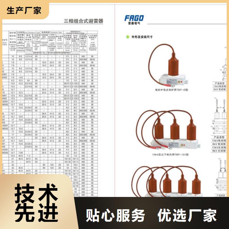 TBP-C-7.6F/100W1组合式避雷器樊高电气