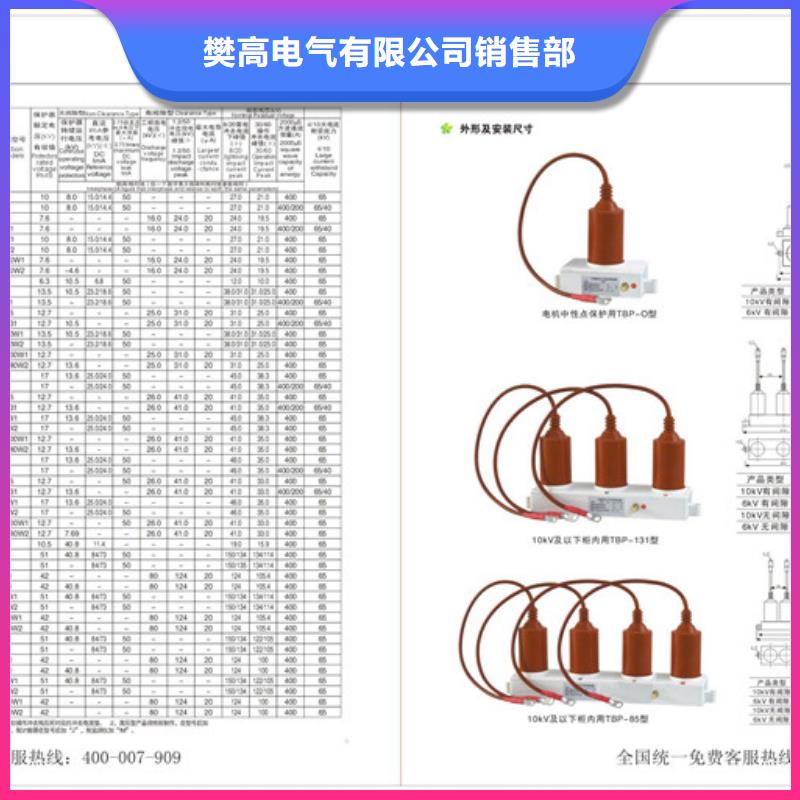 TBP-A-7.6-F/120中性点氧化锌避雷器