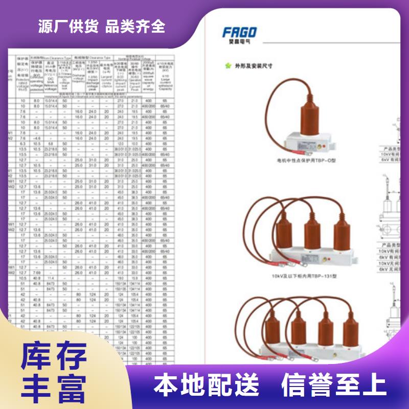 TBP-B-12.7F/100W1组合式避雷器樊高电气