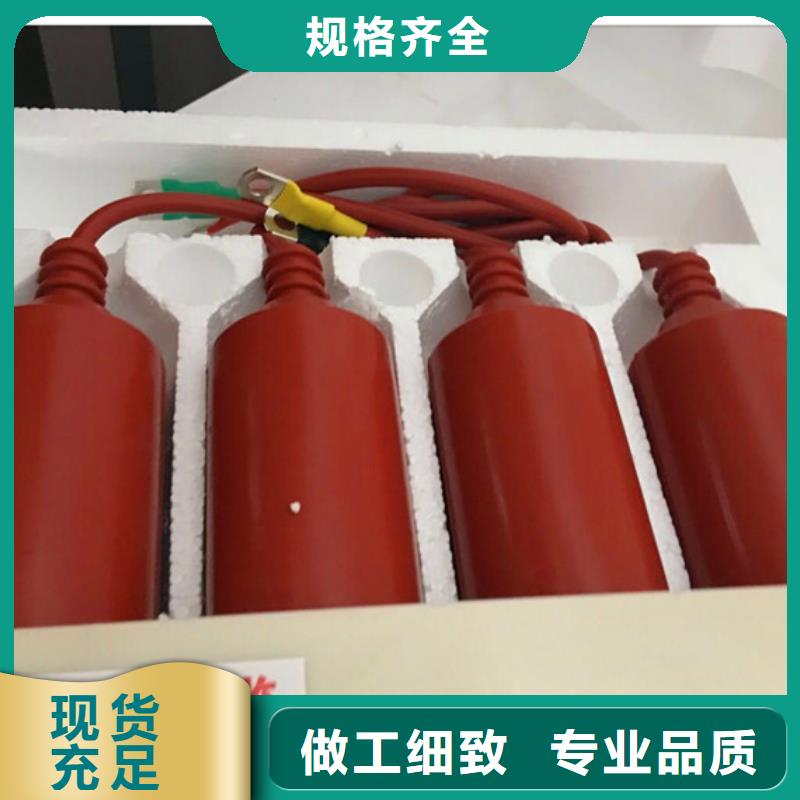 BSTG-B-17避雷器用保护器