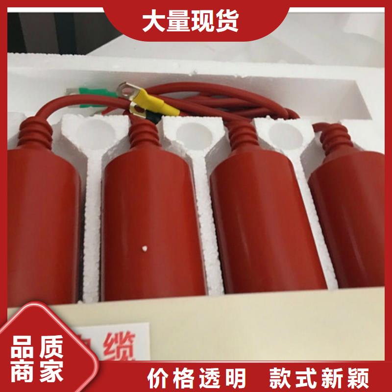 【过电压保护器】-绝缘子一对一为您服务