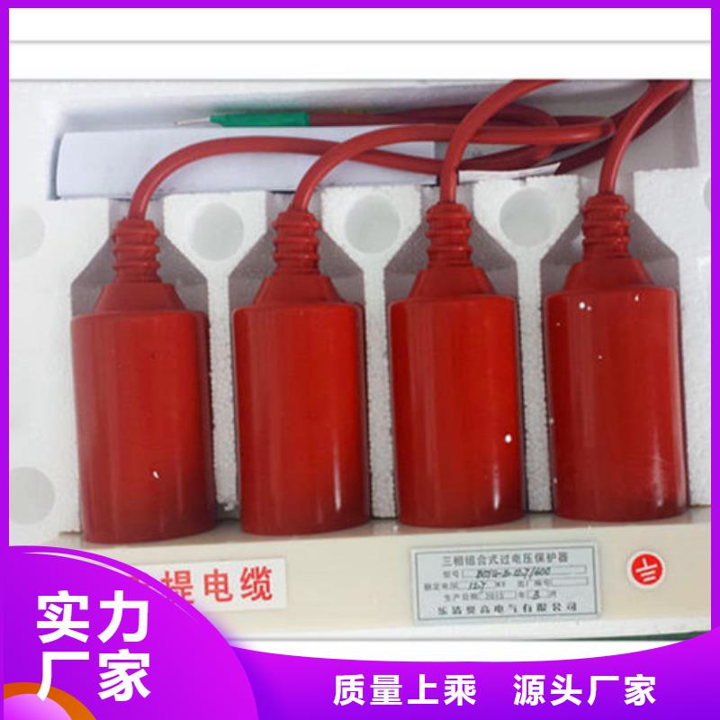 河口|广饶|临沂|聊城|滨州|威海|烟台|淄博过电压保护器真空断路器多行业适用供应商