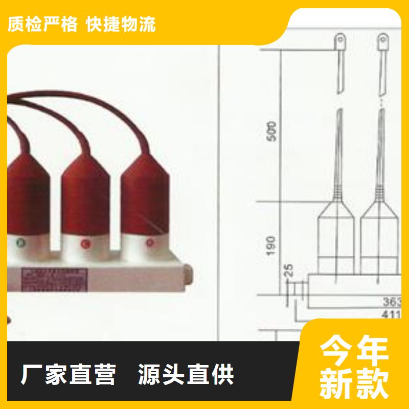 过电压保护器高低压电器厂家销售-樊高电气销售部(梧州市分公司)|覆盖地域长洲|苍梧|贵港|南宁|贺州|百色