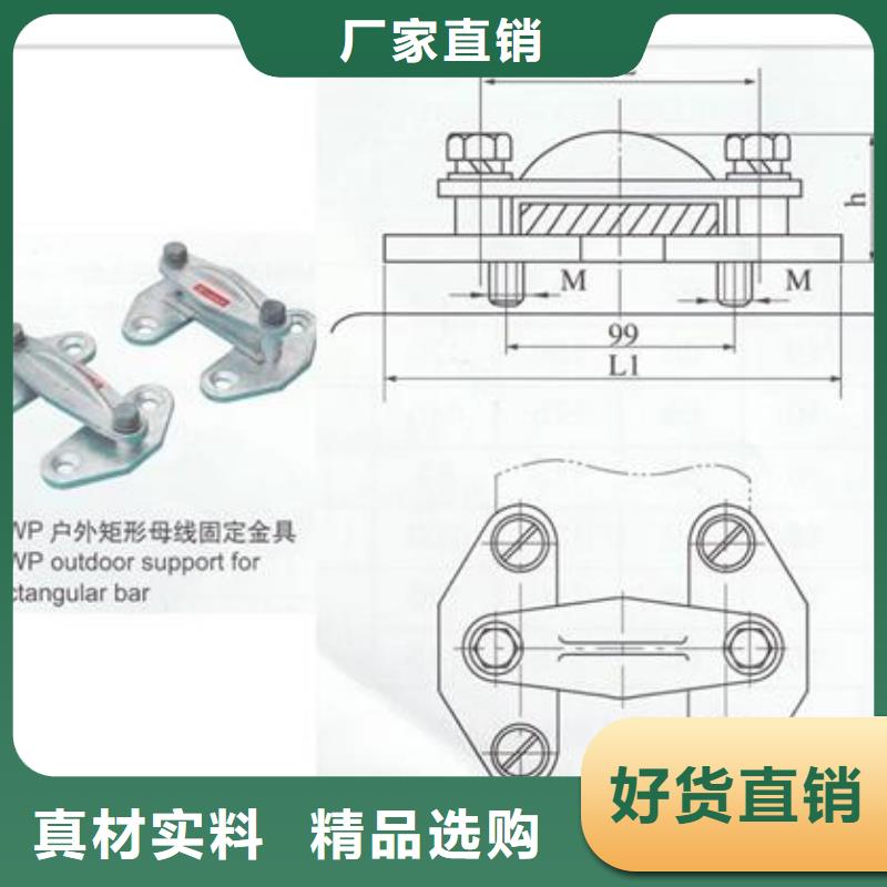西昌|德昌|成都|遂宁|攀枝花|泸州|广元|南充|阿坝【母线金具 电缆附件多年行业经验】-樊高电气销售部(凉山市分公司)