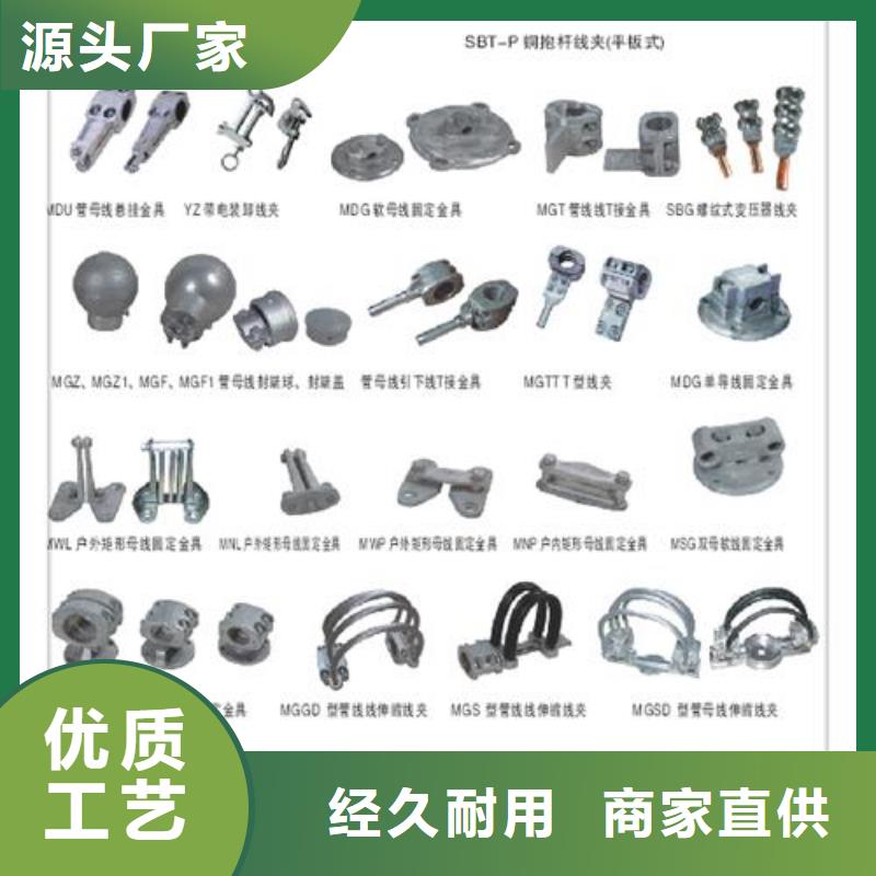 西昌|德昌|成都|遂宁|攀枝花|泸州|广元|南充|阿坝【母线金具 电缆附件多年行业经验】-樊高电气销售部(凉山市分公司)