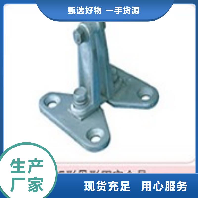 西昌|德昌|成都|遂宁|攀枝花|泸州|广元|南充|阿坝【母线金具 电缆附件多年行业经验】-樊高电气销售部(凉山市分公司)