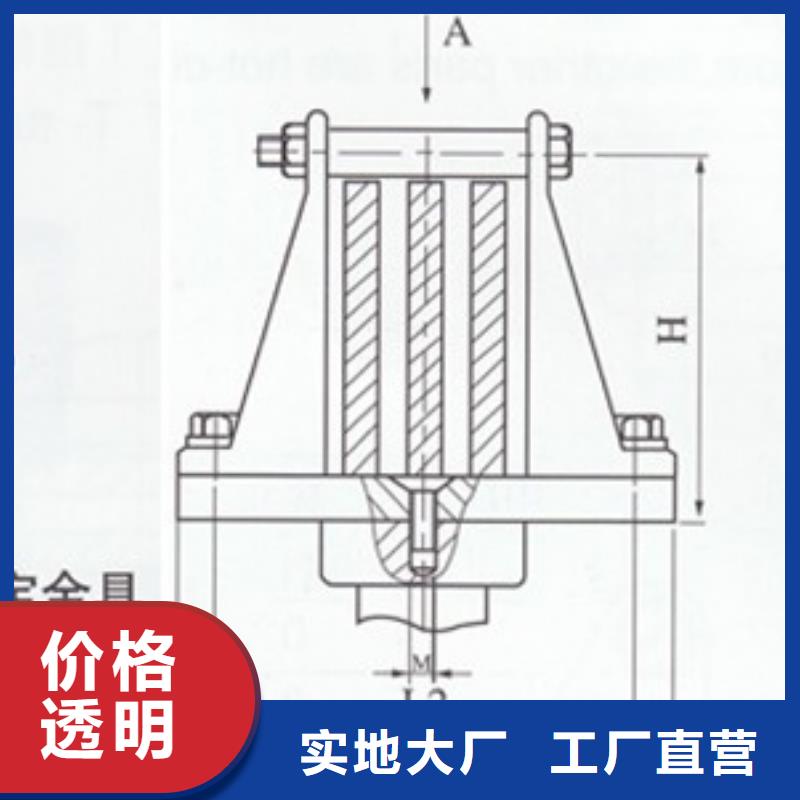 母线金具氧化锌避雷器厂家售后完善-樊高电气销售部(湛江市分公司)