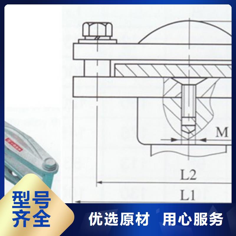 TMY-8*60高压母线樊高