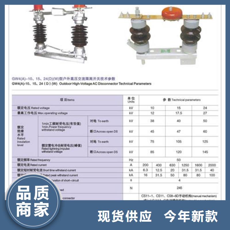 隔离开关 【绝缘子】口碑好实力强工厂直营