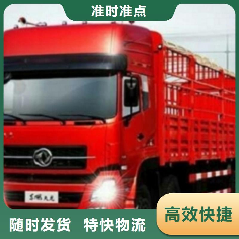 【 1随时发货】