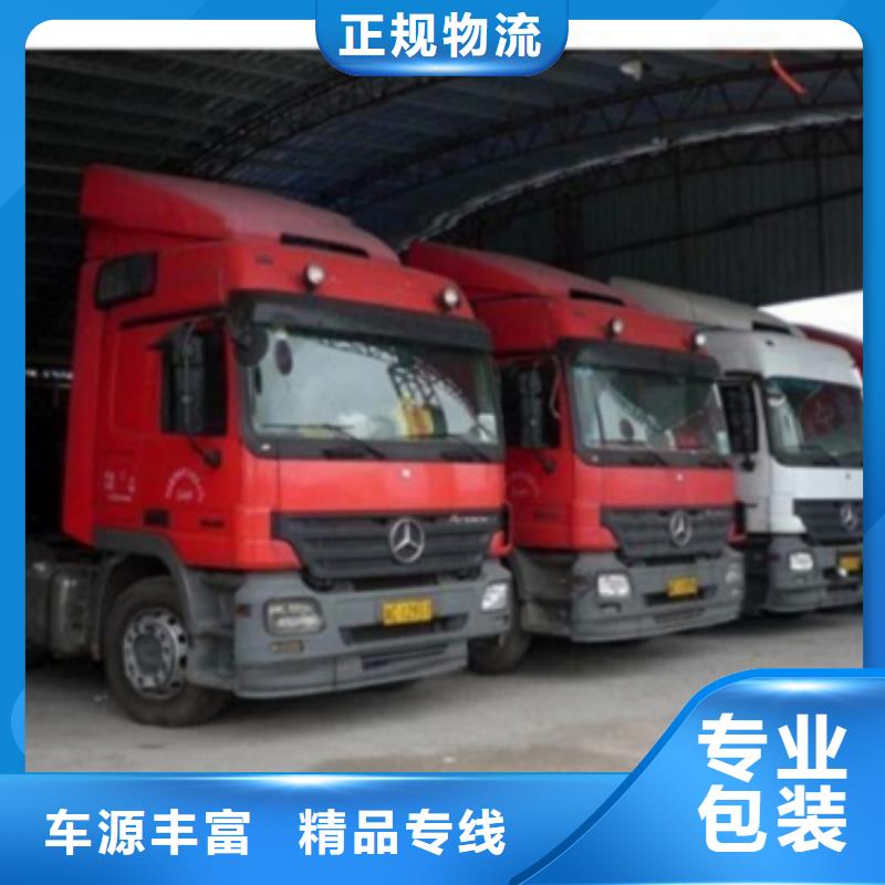 【 1随时发货】