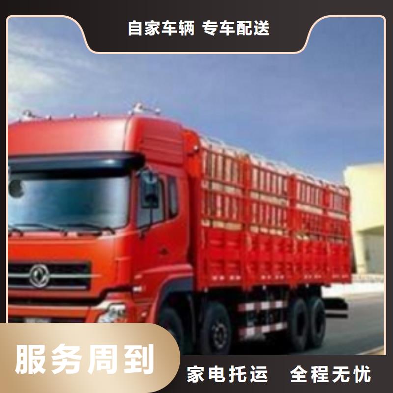 【 1随时发货】