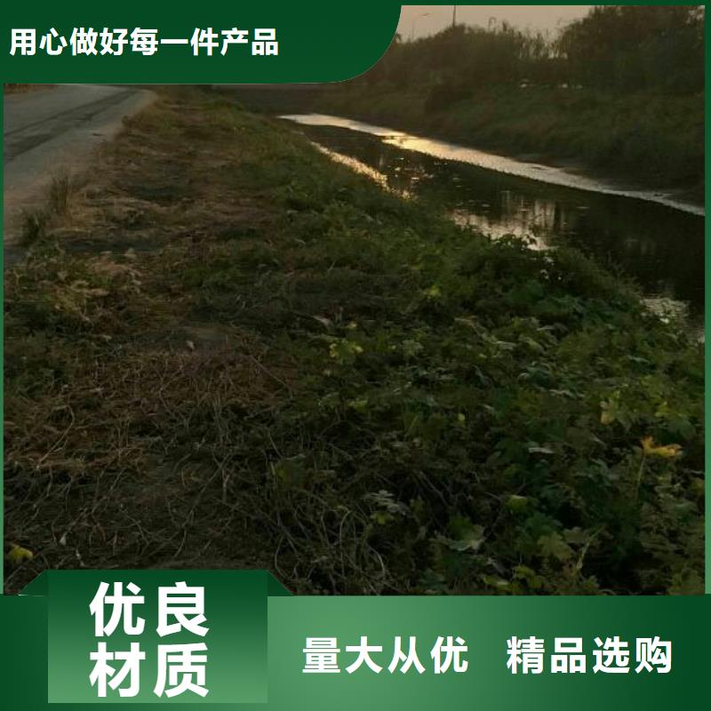 污泥处理土壤固化剂来图加工定制