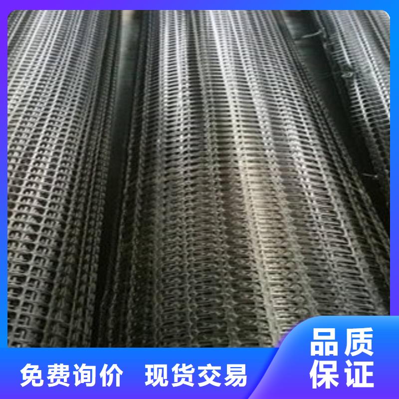 双向塑料格栅复合土工布N年生产经验