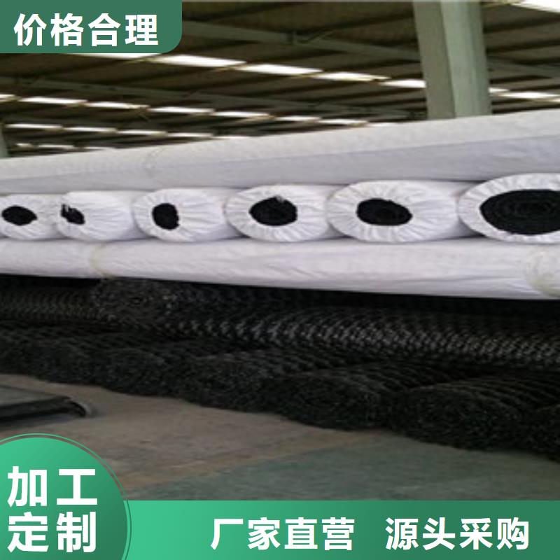 双向塑料格栅【三维植被网】厂家直销