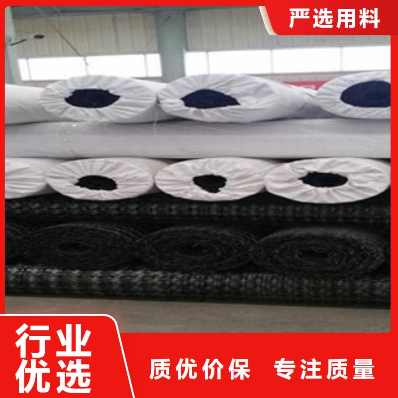 【双向塑料格栅】_玻纤土工格栅专注质量-服务范围包括阳西|江城|汕头|东莞|汕尾|潮州等