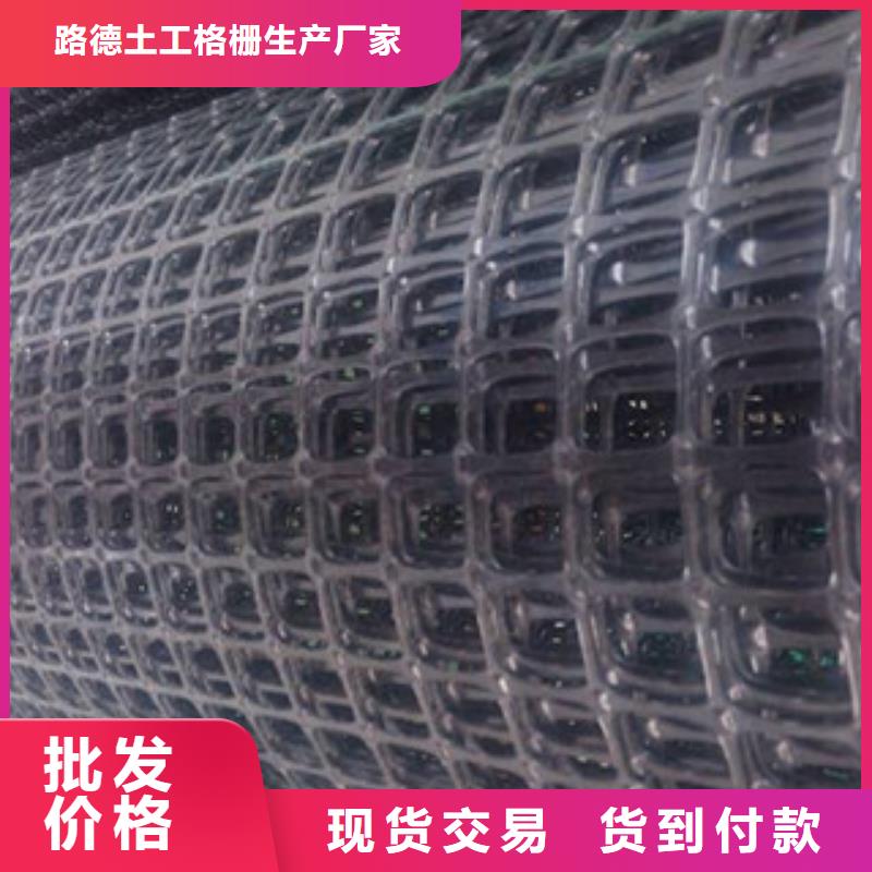 双向塑料格栅,高强度土工网产地批发