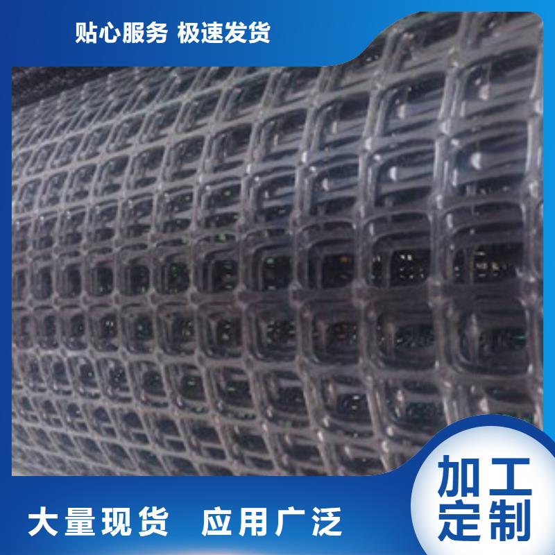 双向塑料格栅,三维植被网品质服务诚信为本