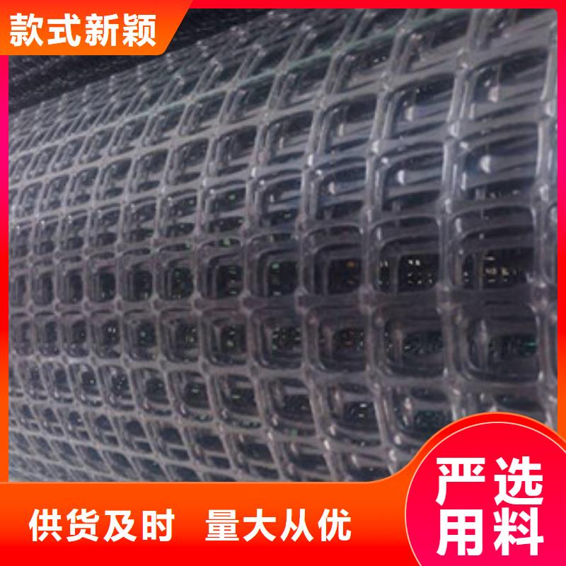 双向塑料格栅高强度土工网一手货源源头厂家
