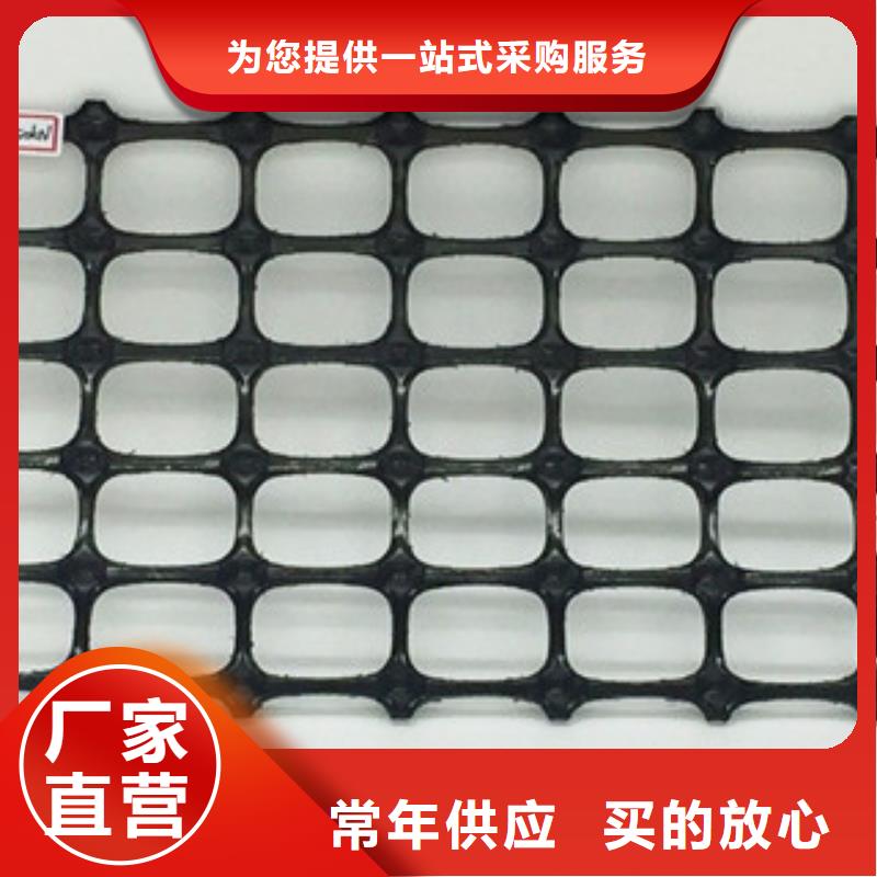 双向塑料格栅三维植被网厂家经验丰富