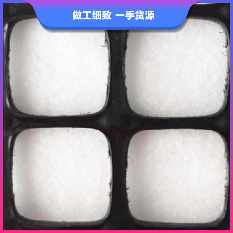 双向塑料格栅【三维植被网】厂家直销