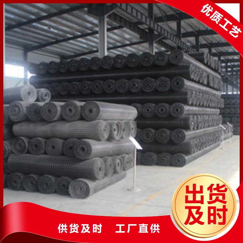 双向塑料格栅【三维植被网】厂家直销