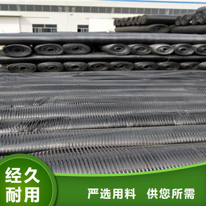 单向塑料格栅玻纤土工格栅实体厂家大量现货