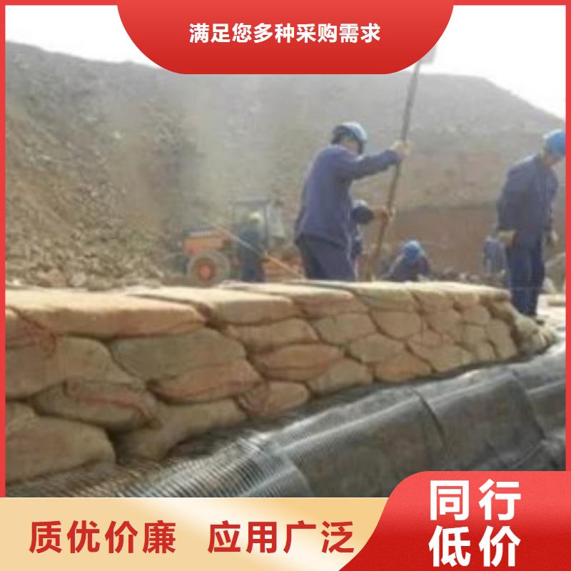 单向塑料格栅-塑料土工格栅真正的源头厂家