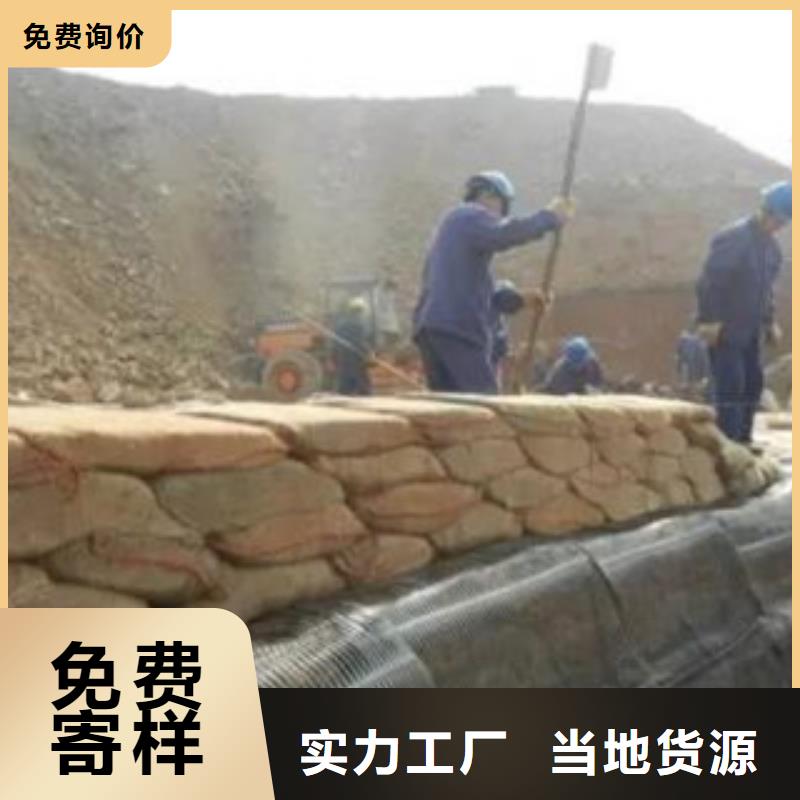 单向塑料格栅玻纤土工格栅实体诚信厂家