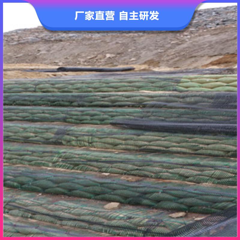单向塑料格栅膨润土防水毯敢与同行比价格