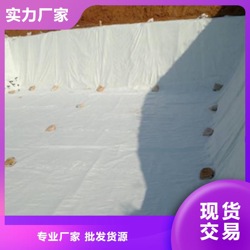 土工布【防裂贴抗裂贴】技术先进