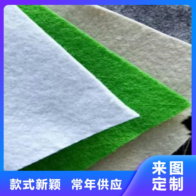 土工布膨润土防水毯一手货源源头厂家