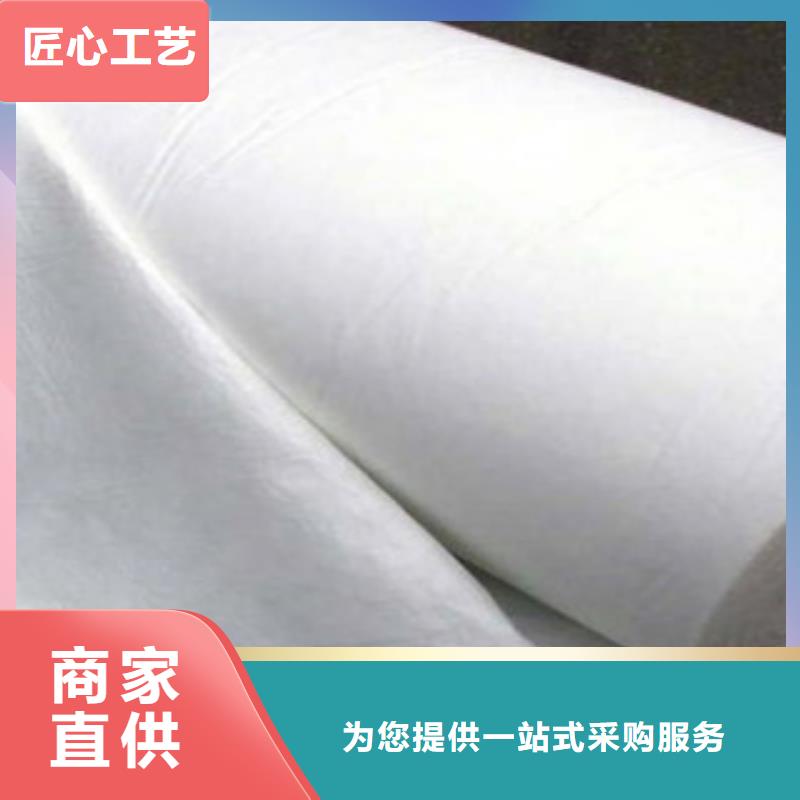土工布膨润土防水毯一手货源源头厂家