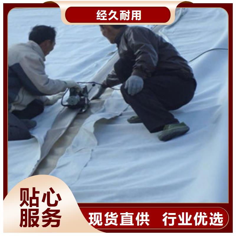 土工布_高强度土工网支持定制