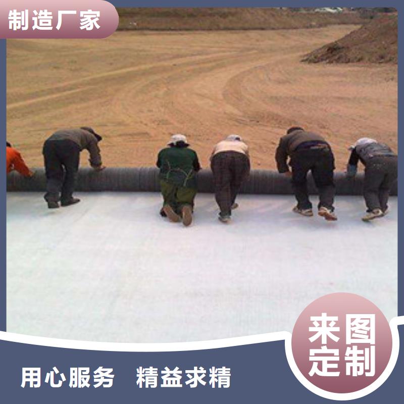 膨润土防水毯钢塑土工格栅实力公司