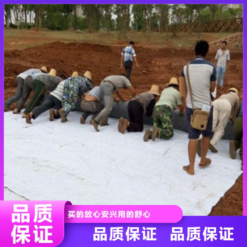 【膨润土防水毯】-钢塑土工格栅实力见证