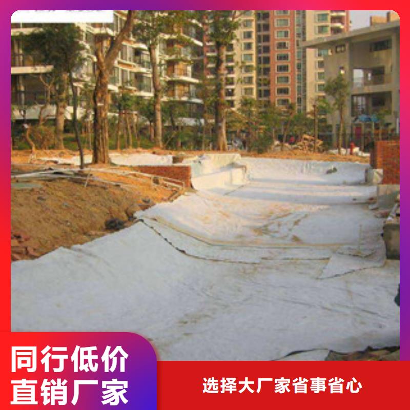 膨润土防水毯塑料土工格栅厂家直营