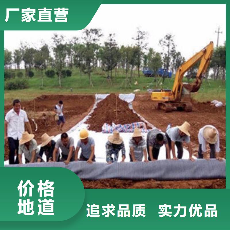 膨润土防水毯玻纤土工格栅核心技术