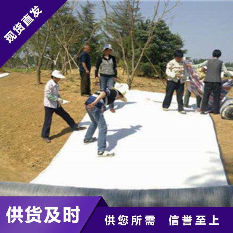 膨润土防水毯厂家现货供应