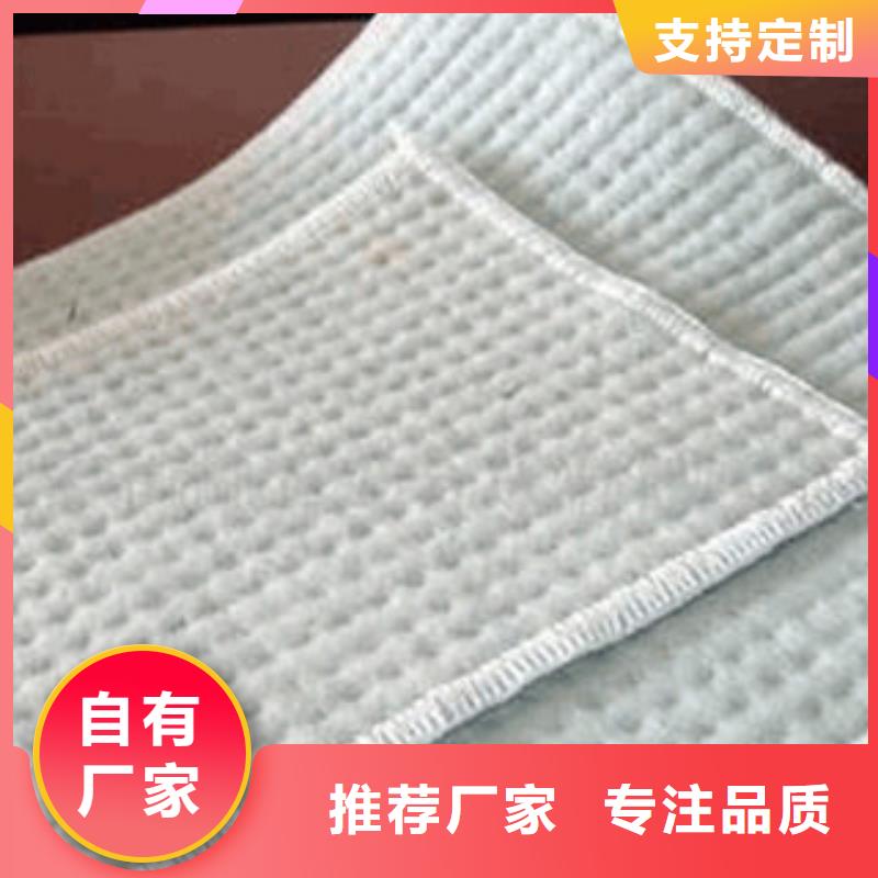膨润土防水毯_三维植被网实力工厂