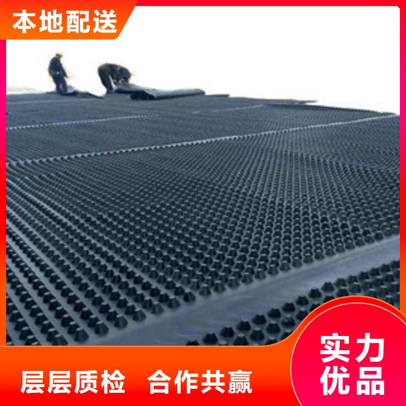 【 塑料排水板 塑料土工格栅拒绝中间商】_路德土工格栅生产厂家(张家口市分公司)