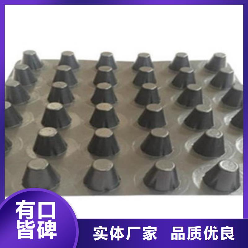 塑料排水板三维植被网厂家规格全